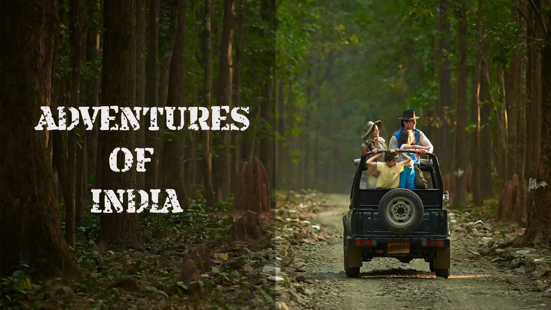 India Tour Package India Tour Package