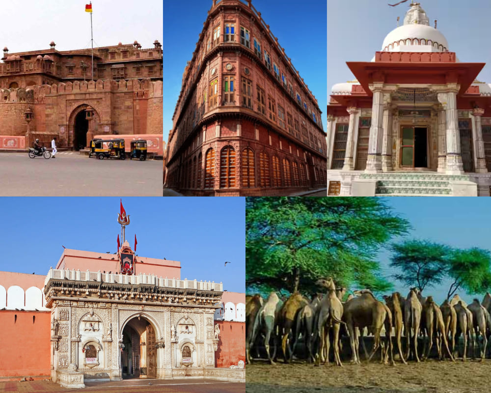 Day 3: Jaipur To Bikaner:- Junagarh Fort, Rampuriya Haweli, Jain Temple, Karni Mata Temple, National Camel Research Centre