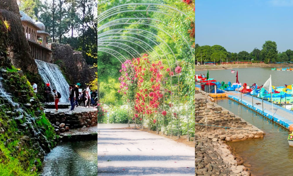 Day 7: Chandigarh Sightseen :-Rock Garden, Rose Garden, Sukhna Lake Pinjore Garden Delhi