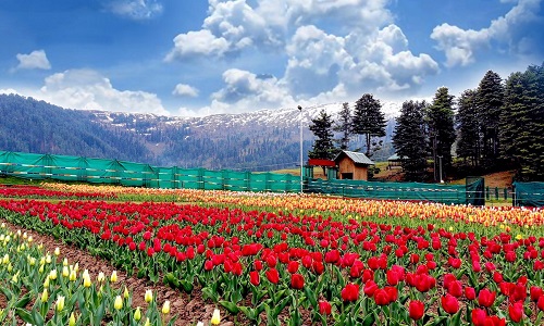 Sonmarg-Patnitop Sonmarg-Patnitop
