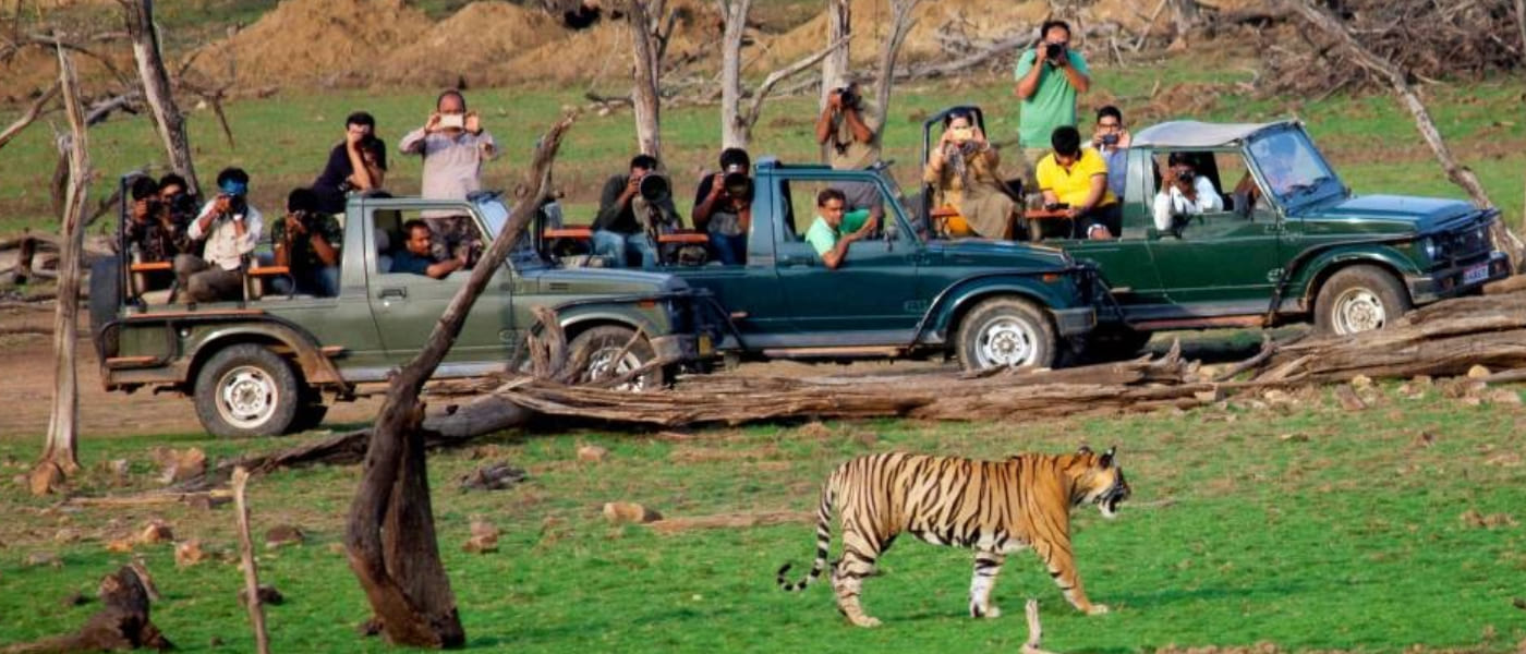 2N 3D Delhi to Ranthambore Tour Package